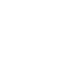 Icon de fibre